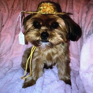 Meet your Posher, Kitra